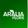 Aralia Flors